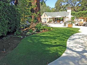 Artificial Grass Photos: Grass Carpet New Morgan, Pennsylvania Landscaping, Commercial Landscape