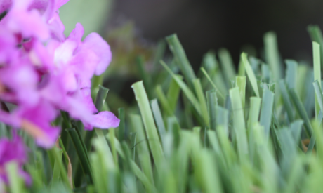 Artificial Turf For Lawns